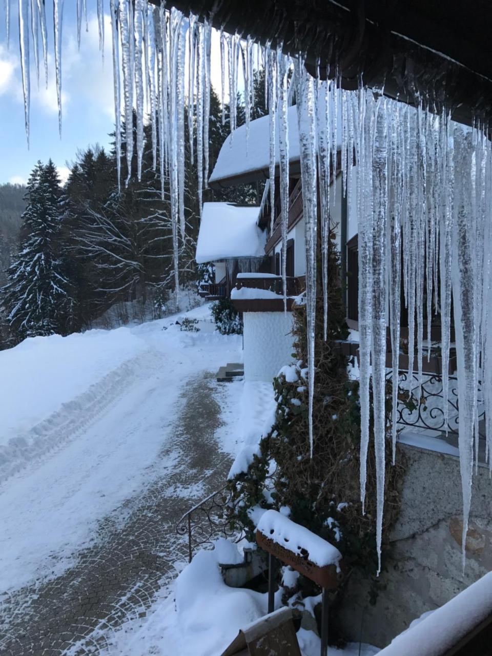 Landhaus Preissinger Warmensteinach Esterno foto
